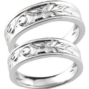 nCAWG[ w }bWO yAO fB[X Y j nCA v`i ~ł 2{Zbg  蒤 hawaii fB[X Y j