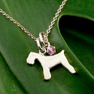 [X[p[Z[10%OFF]ViEU[ eA y_ggbv `[ y_g fB[X   ޏ   Ck `[t v`i900 ybgWG[ ꗱ VR sNg}