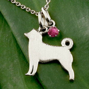 Č ΂ y_ggbv `[ y_g fB[X   ޏ   Ck `[t v`i900 ybgWG[ ꗱ VR r[ 7a 킢y_gg