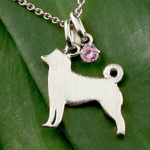 Č ΂ y_ggbv `[ y_g fB[X   ޏ   Ck `[t v`i900 ybgWG[ ꗱ VR sNg} 10a 킢y