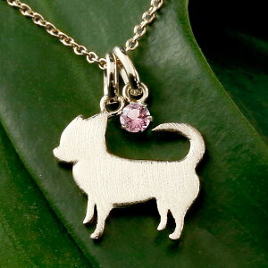 `  y_ggbv `[ y_g fB[X   ޏ   Ck `[t v`i900 ybgWG[ ꗱ VR sNg} 10a 킢y