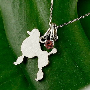 X^_[hv[h v[hJbg y_ggbv `[ y_g fB[X   ޏ   Ck `[t v`i900 ybgWG[ ꗱ VR K[lbg 1a