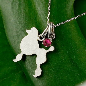 X^_[hv[h v[hJbg y_ggbv `[ y_g fB[X   ޏ   Ck `[t v`i900 ybgWG[ ꗱ VR r[ 7a