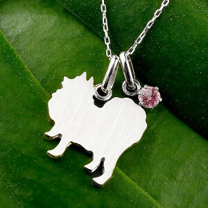 [X[p[Z[10%OFF]|jA y_ggbv `[ y_g fB[X   ޏ   Ck `[t v`i900 ybgWG[ ꗱ VR sNg} 10