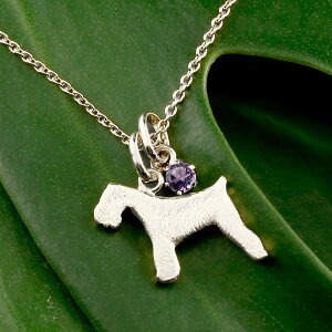 ViEU[ eA y_ggbv `[ y_g fB[X   ޏ   Ck `[t v`i900 ybgWG[ ꗱ VR AWXg 2a 킢y