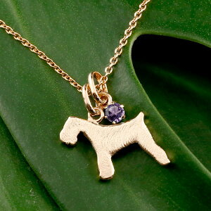 ViEU[ eA y_ggbv `[ y_g   Ck `[t sNS[hk18 ꗱ VR AWXg 18 jp jZbNX j킸 fB[X