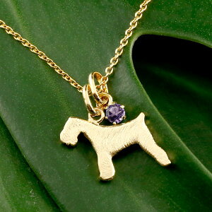 ViEU[ eA y_ggbv `[ y_g   Ck `[t CG[S[hk18 ꗱ VR AWXg 18 jp jZbNX j킸 fB[X