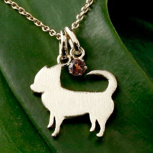 `  y_ggbv `[ y_g fB[X   ޏ   Ck `[t v`i900 ybgWG[ ꗱ VR K[lbg 1a 킢y_