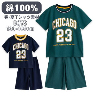 pW} LbY j̎q 100  Y{ t  ėp  _炩ỷKTVc io[ vg O[ lCr[ 130 140 150 160 낢 q {[CY WjA  