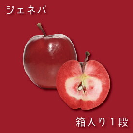 【送料無料】青森県産りんご〈ジェネバ〉中まで赤いりんご 箱入り1段 約3.5kg 28〜30個入り 加工用 生食は不向き クール便につき他商品同梱不可