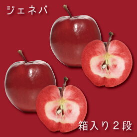 【送料無料】青森県産りんご〈ジェネバ〉中まで赤いりんご 箱入り2段 約7kg 56〜60個入り 加工用 生食は不向き クール便につき他商品同梱不可