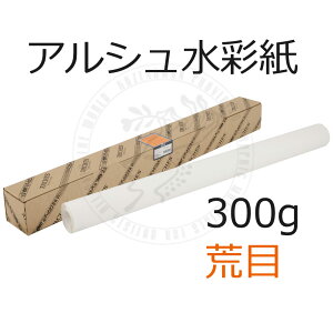 ʎ AV[@rځ@300g@ 9.15m y ō`p z 