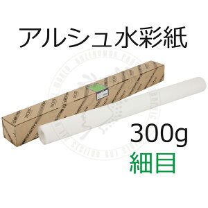 ʎ AV[@זځ@300g@ 9.15m y ō`p z