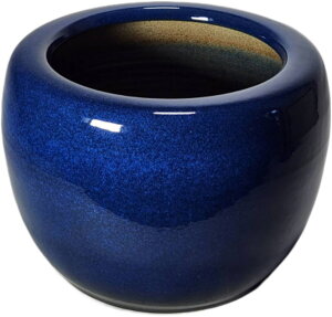 qΔ@10iMyĂEEΔEg[EDEؒYEΔEDEЂ΂E͘FED`j