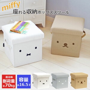 ~btB[ ObY [Xc[  [{bNX  킢 ܂肽 e ӂt LN^[ o₷ t lp O[ oX^I ubN [Xc