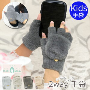 q  LbY ̎q 킢 t@[ ~g w q  Vv n LbY ӂӂ n k WjA O[u qǂ h wȂ  nhPA ێ