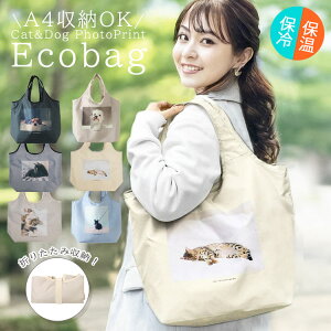 GRobO ܂肽 RpNg ۗ ۉ 􂦂 WJS e v ^ }} 񂰃obO  | V_[obO ۗobO }`L t@Xi[ Wbp[  A