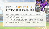 ヤマハ野球部公認