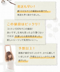 お客様の声3