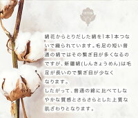 新疆綿について2