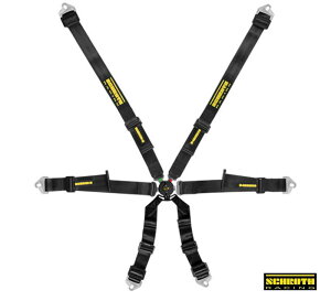 [ FIAF ] SCHROTH RACING Profi 2x2 (bh E) iԁF 94550-2 VX 6_[VOxg (TANIDAKi)  (ꌧї͏)