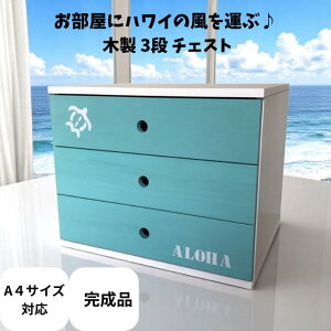 ^[P[X  [  ރP[X 3i ؐ a4t@C Ή 3io pXe { kazuH[ o[ ~j`FXg  I A4TCYΉ r[T 