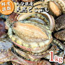 【産地直送】国産天然トコブシ 約1kg（サイズ混合）｜新鮮 鮮魚 貝類 とこぶし アワビ ナガレコ 煮物 ギフトに◎［大…