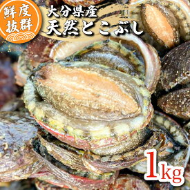 【産地直送】国産天然トコブシ 約1kg（サイズ混合）｜新鮮 鮮魚 貝類 とこぶし アワビ ナガレコ 煮物 ギフトに◎［大分県佐伯市 蒲江産／カズフジ］