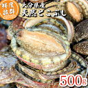 【産地直送】国産天然トコブシ 約500g（サイズ混合）｜新鮮 鮮魚 貝類 とこぶし アワビ ナガレコ 煮物 ギフトに◎［大…
