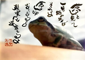 164鎍lanȂɑ錾t̃|XgJ[h y/CeA/bZ[W/͂/t/PostCard/l/anԁz