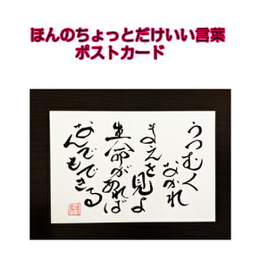 021鎍lanȂɑ錾t̃|XgJ[hy/CeA/bZ[W/͂/t/PostCard/l/anԁz