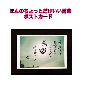 059鎍lanȂɑ錾t̃|XgJ[hy/CeA/bZ[W/͂/t/PostCard/l/anԁz