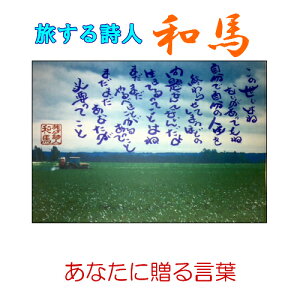 136鎍lanȂɑ錾t̃|XgJ[hy /CeA/bZ[W/͂/t/PostCard/l/anԁz