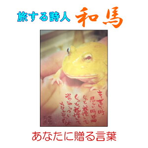 135鎍lanȂɑ錾t̃|XgJ[hy/CeA/bZ[W/͂/t/PostCard/l/anԁz