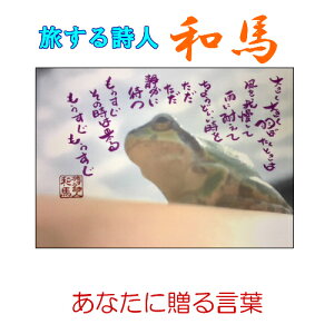 137鎍lanȂɑ錾t̃|XgJ[h y/CeA/bZ[W/͂/t/PostCard/l/anԁz