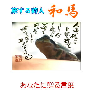 鎍lan̂ق̂ƂtMziA4TCYjy/CeA/j/bZ[W/Mtg/蕨/i/l/錾t/anԁz