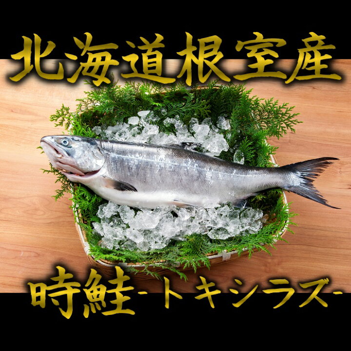 楽天市場 送料無料 根室産時鮭 トキシラズ 1尾1 5ｋｇ 2ｋｇ前後 訳あり 時鮭 トキシラズ ときしらず 時シラズ 時しらず 鮭 サケ さけ お歳暮 御歳暮 贈答用 御祝 プレゼント ギフト 記念日 北海道グルメ 北海道産 根室海産物 一丸水産 かずまる