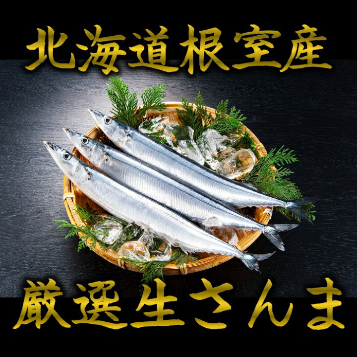 品質検査済 北海道根室産 冷凍生お刺身さんま15本 B Nrockconstruction Com