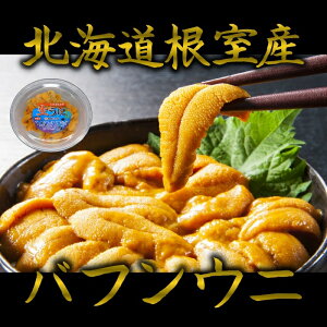 生うに 100gの人気商品 通販 価格比較 価格 Com