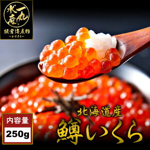 kCY ɏ㖐 e250g CN  ݖЂ  }X ܂   Ⓚ kCY kCO Zbg CN CN Ε Ε p j v[g Mtg LO 