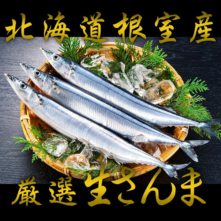 楽天市場 送料無料 北海道根室産 厳選生さんま1ｋｇ詰め1ｇ前後8尾前後 さんま サンマ 秋刀魚 生サンマ 魚 さんま丼 刺身 焼き魚 海鮮丼 北海道産 北海道グルメ お中元 御中元 贈答用 御祝 プレゼント ギフト 記念日 根室海産物 一丸水産 かずまる