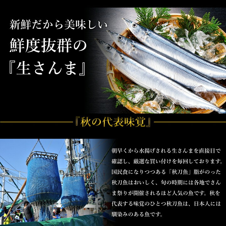 楽天市場 送料無料 北海道根室産 厳選生さんま1ｋｇ詰め1ｇ前後8尾前後 さんま サンマ 秋刀魚 生サンマ 魚 さんま丼 刺身 焼き魚 海鮮丼 北海道産 北海道グルメ お中元 御中元 贈答用 御祝 プレゼント ギフト 記念日 根室海産物 一丸水産 かずまる