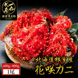 北海道根室産 花咲ガニ 600g~800g前後1尾 花咲がに 花咲蟹 はなさきがに カニ かに 蟹 kani 北海道産 北海道グルメ セット 海鮮 海鮮丼 お歳暮 御歳暮 贈答用 御祝 プレゼント ギフト 記念日 送料無料
