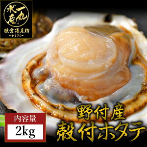 kCY kt z^e 2kg TCYI ق  z^eL قĊL L ktق kt o^[Ă lĂ o[xL[ BBQ tY kCO  ̓ ̓