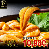 北海道産 塩水エゾバフンウニ 内容量100g×2ケース バフンウニ 生うに うに ウニ 雲丹 塩水うに うに丼 …
