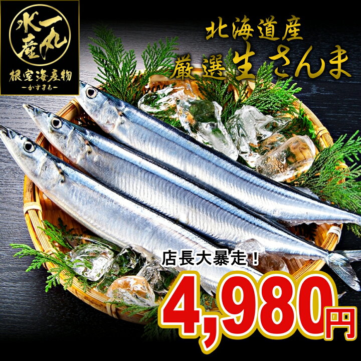 楽天市場 北海道根室産 厳選生さんま1kg詰め1ｇ前後8尾入 さんま サンマ 秋刀魚 生サンマ 魚 さんま丼 刺身 焼き魚 海鮮丼 北海道産 北海道グルメ お中元 御中元 贈答用 御祝 プレゼント ギフト 記念日 根室海産物 一丸水産 かずまる