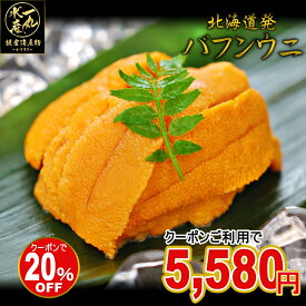 無添加 生バフンウニ 100g【3個で1個タダ0円！】【2個目が半額】になるクーポンあり！ 特選A品 内容量100g×1ケース 根室産 塩水うに バフンウニ 生うに うに ウニ 雲丹 うに丼 海鮮丼 御歳暮 お歳暮 ギフト 北海道グルメ 北海道産 北方四島産 送料無料