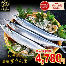 【予約商品次回2025年9月頃発送予定】 4kg詰め 38尾～40尾 北海道根室産 厳選生さんま 4kg詰め 105g前後 38尾～40尾 さんま サンマ 秋刀魚 生サンマ 魚 さんま丼 刺身 焼き魚 海鮮丼 北海道産 北海道グルメ お中元 御中元 贈答用 御祝 プレゼント ギフト 記念日