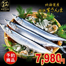 海産物ジャンル賞受賞！ 北海道根室産 厳選生さんま 2kg詰め120g前後 16尾前後 さんま サンマ 秋刀魚 生サンマ 魚 さんま丼 刺身 焼き魚 海鮮丼 北海道産 北海道グルメ お中元 御中元 贈答用 御祝 プレゼント ギフト 記念日