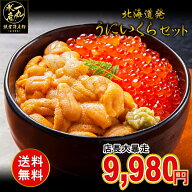 【4個で6,000円OFF】【3個で4,000円OFF】【2個で2,000円OFF】クーポンあり！北海道発 塩水ウニ80g×イク…